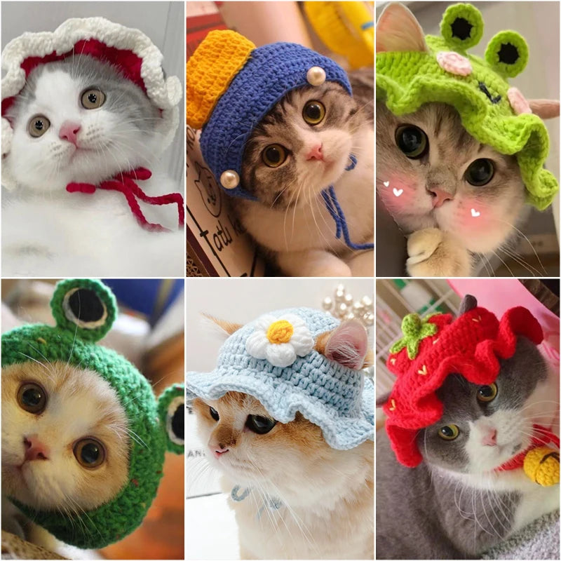 Charming Knitted Cat Hat: Perfect for Autumn, Winter, and Photo Ops