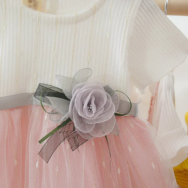 Baby Girl Birthday Party Flower Mesh Dress