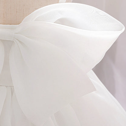 Baby Girl Baptism Dress – 1st Birthday Pink Gown