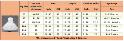 Elegant Infant Birthday & Special Occasion Dress