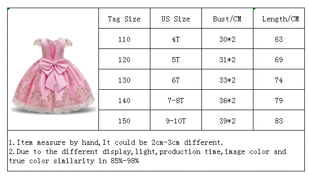 Elegant Embroidered Lace Dress for Girls