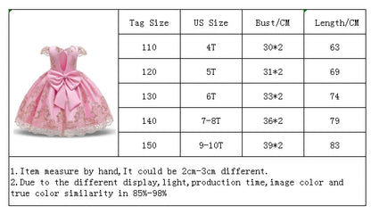 Elegant Embroidered Lace Dress for Girls