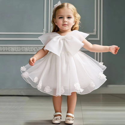 Baby Girl Baptism Dress – 1st Birthday Pink Gown