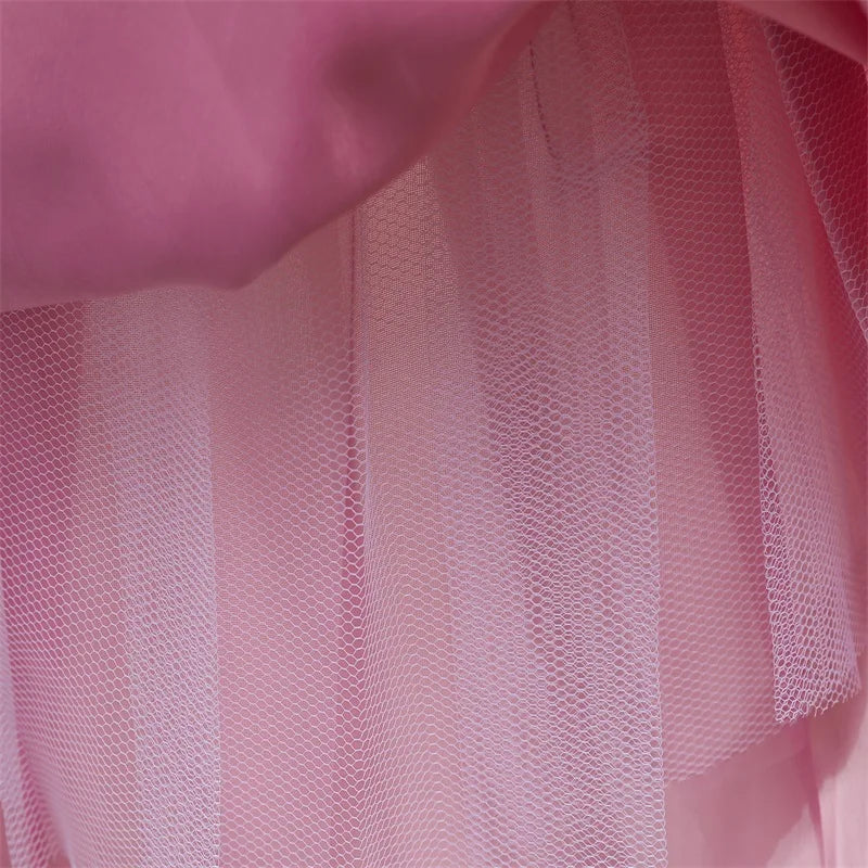 Princess Party Dress – Lace Embroidery with Ruffles