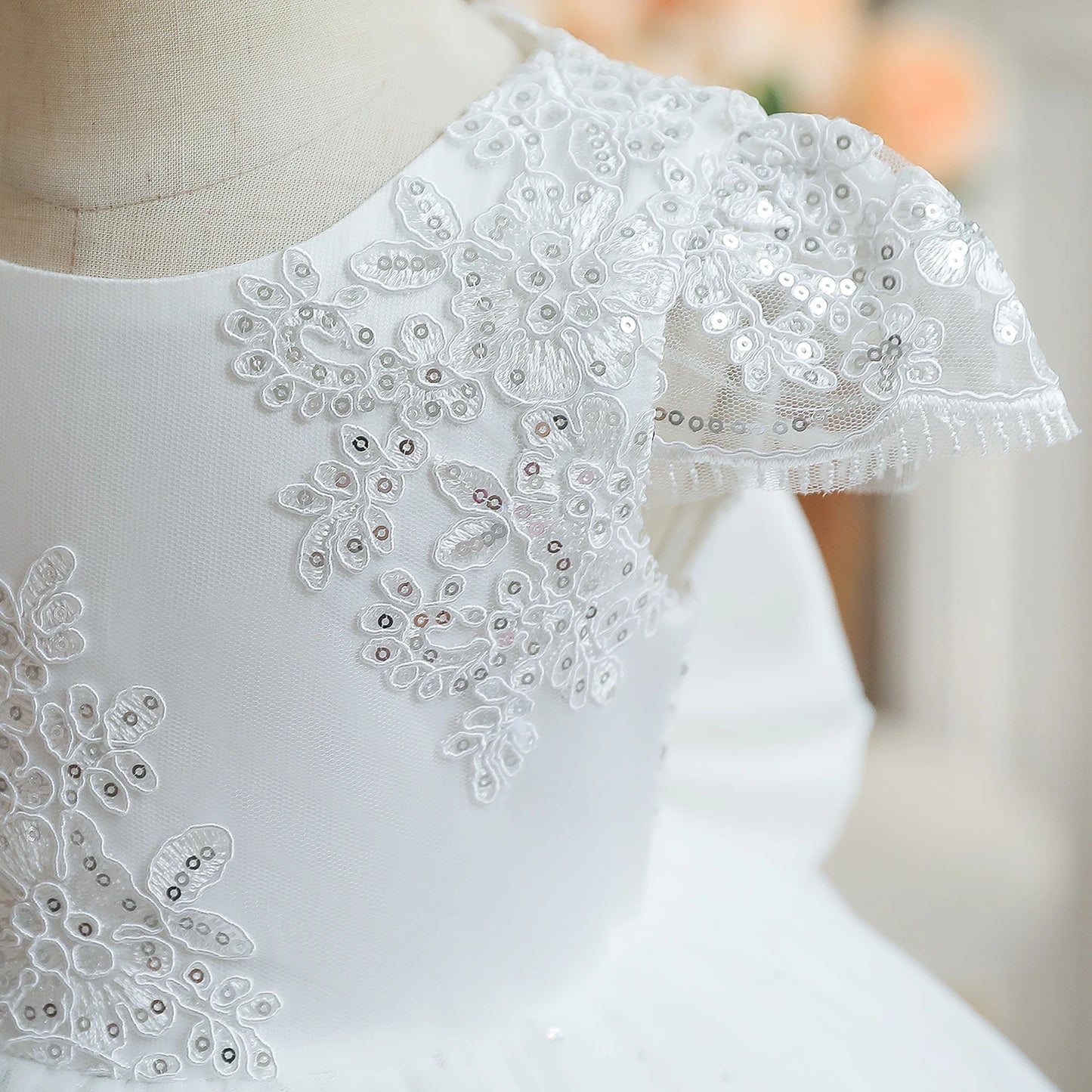 Princess Party Dress – Lace Embroidery with Ruffles