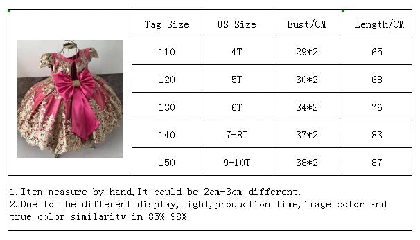 Elegant Embroidered Lace Dress for Girls