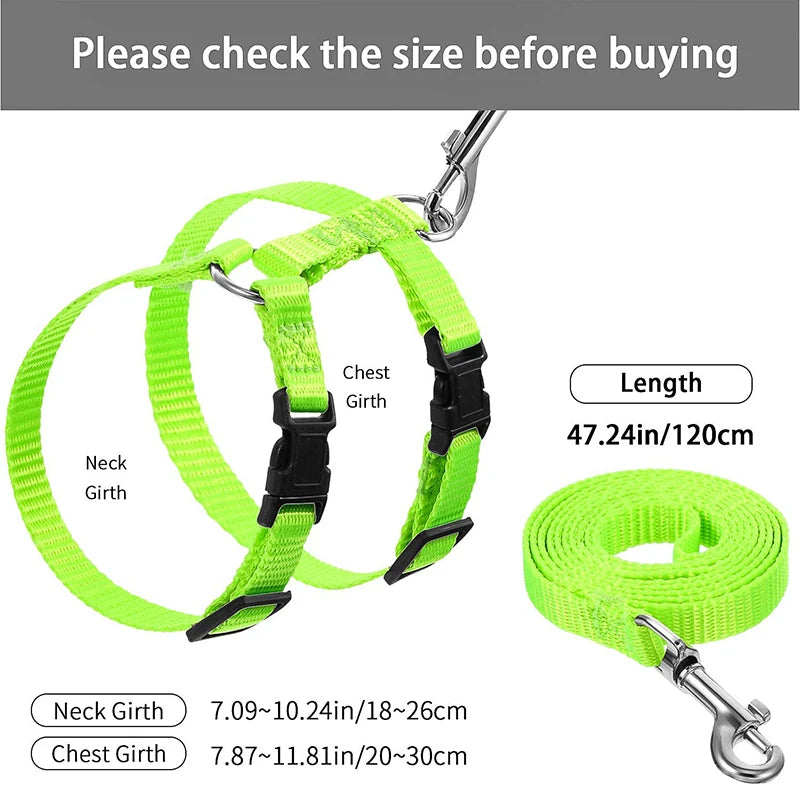 Affordable Adventure: Adjustable Harness & Leash Set for Pets