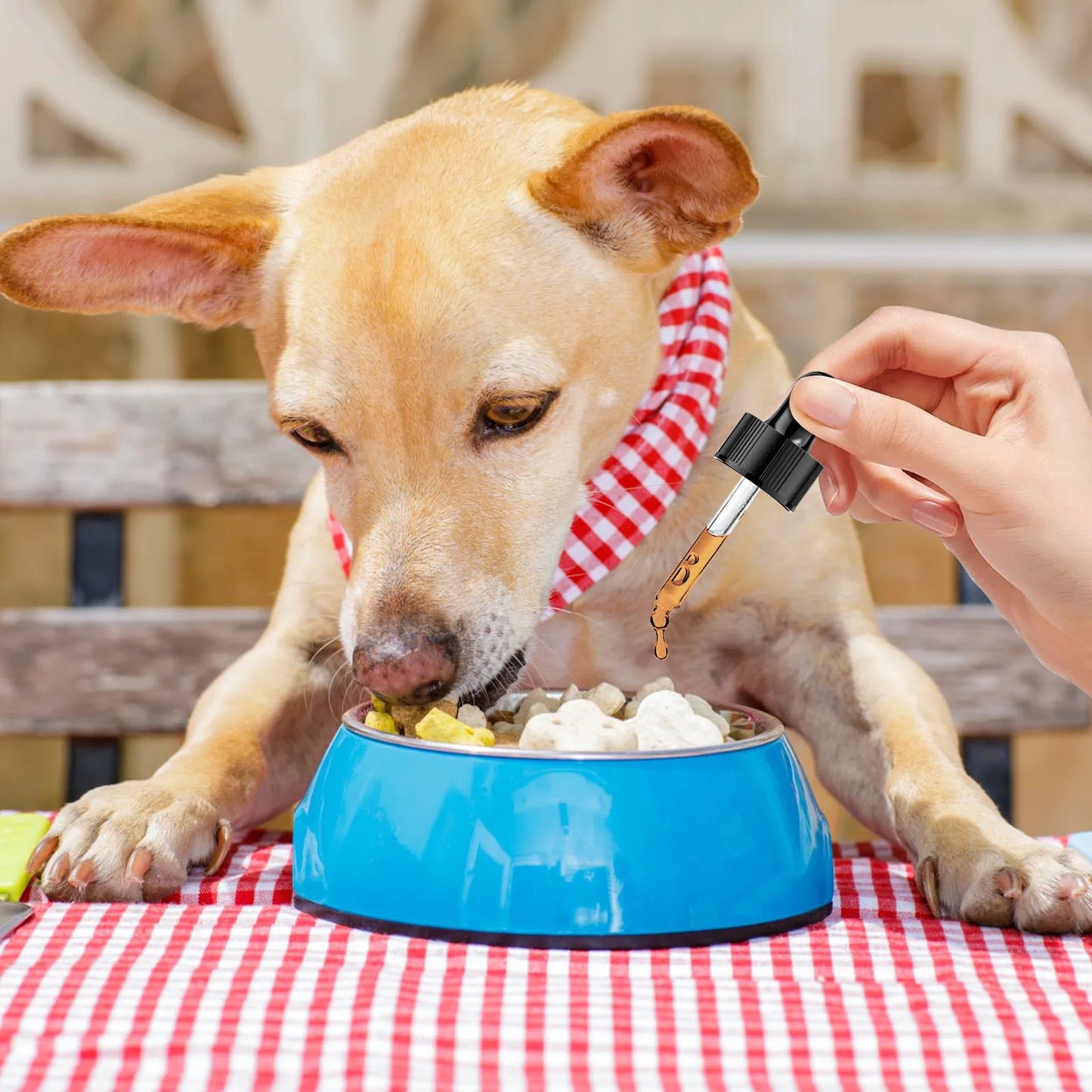 Dog Joint Supplement – Relief & Nutrition for Healthy Joints