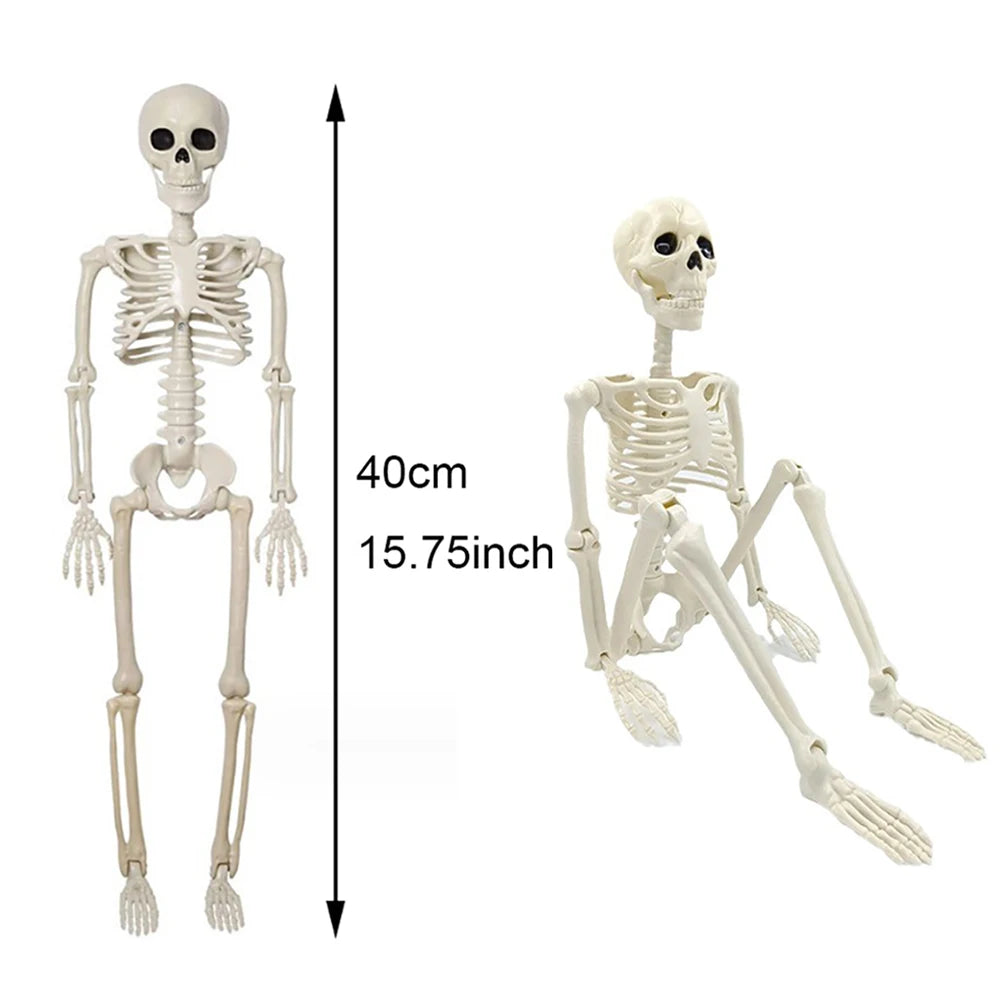 Halloween Skeleton Prop – 3ft Realistic Posable Bone Decor