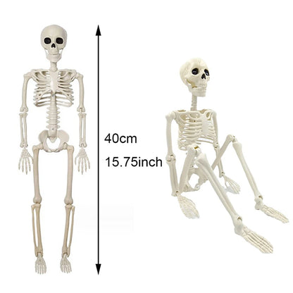 Halloween Skeleton Prop – 3ft Realistic Posable Bone Decor
