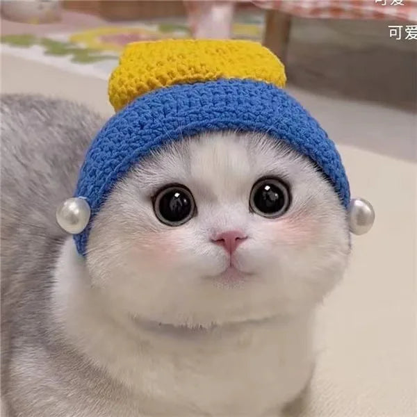 Charming Knitted Cat Hat: Perfect for Autumn, Winter, and Photo Ops