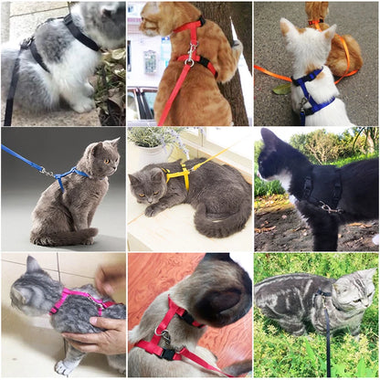 Affordable Adventure: Adjustable Harness & Leash Set for Pets