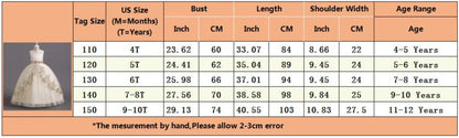 Girls Elegant Lace Wedding & Party Princess Dress