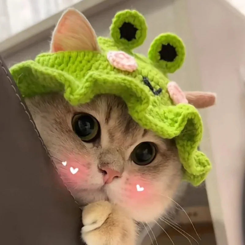 Charming Knitted Cat Hat: Perfect for Autumn, Winter, and Photo Ops