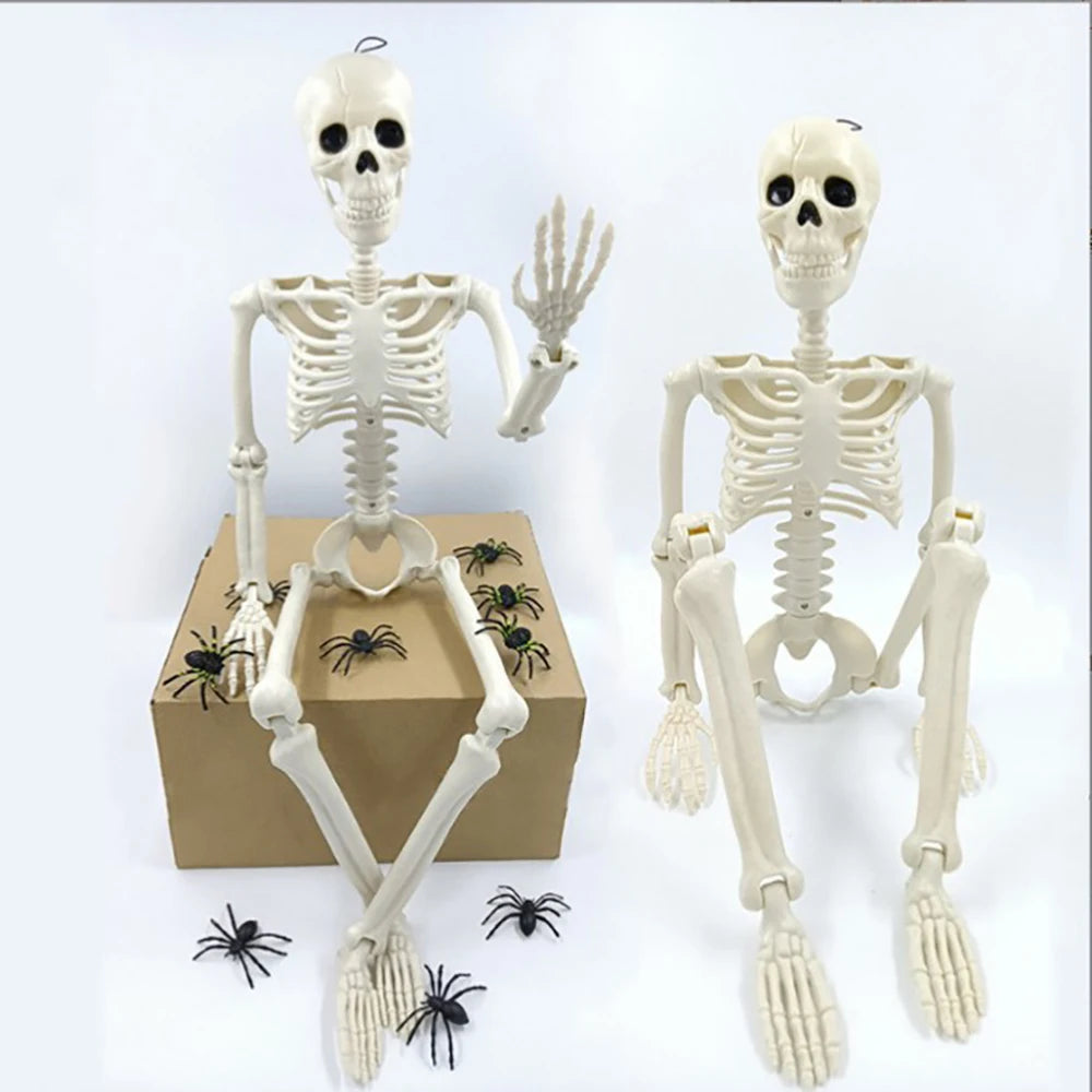 Halloween Skeleton Prop – 3ft Realistic Posable Bone Decor