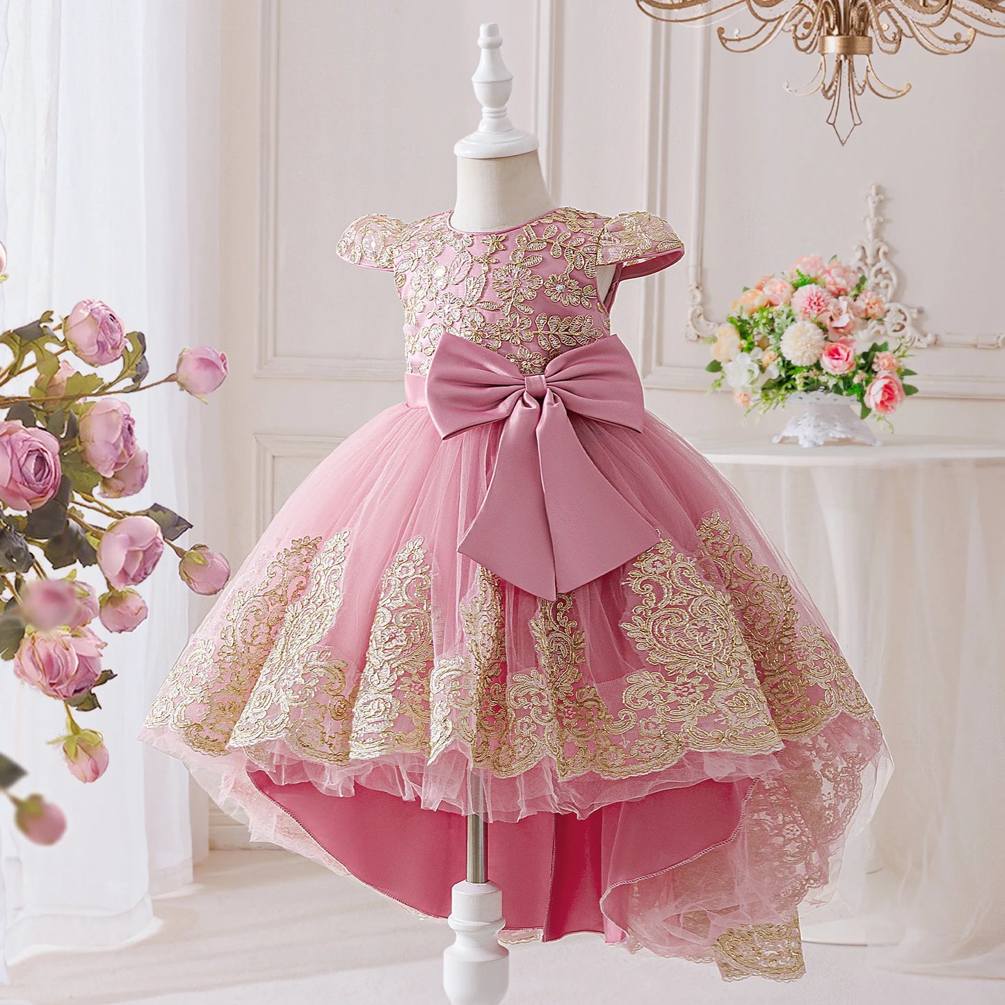 Elegant Embroidered Princess Party Dress
