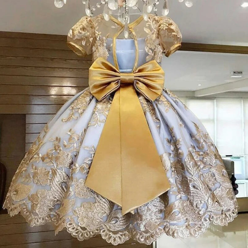 Elegant Embroidered Lace Dress for Girls