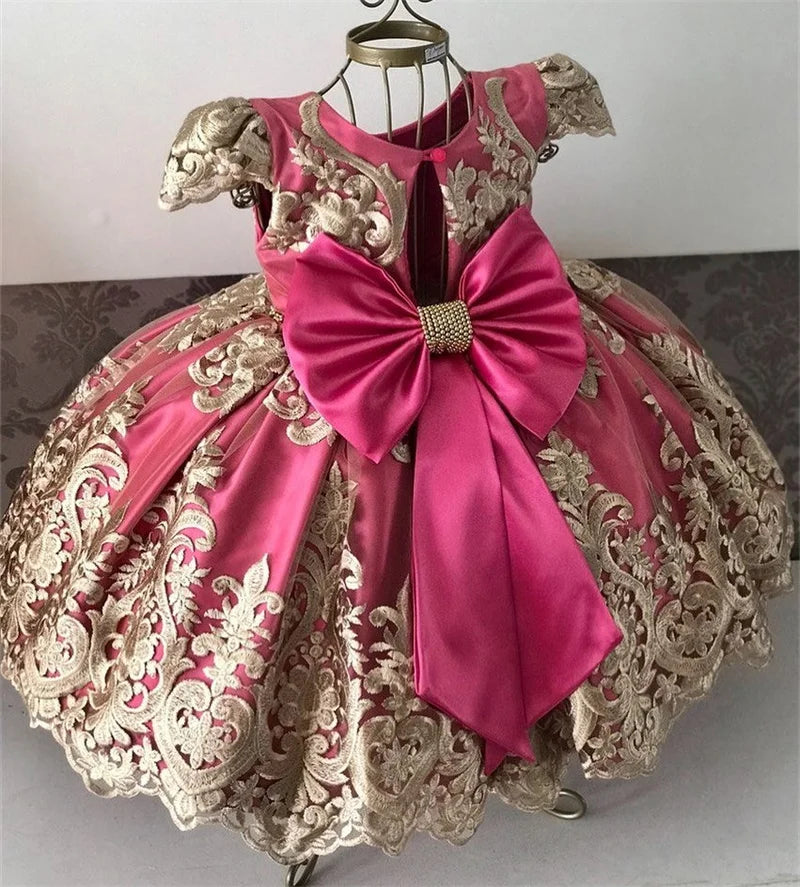Elegant Embroidered Lace Dress for Girls