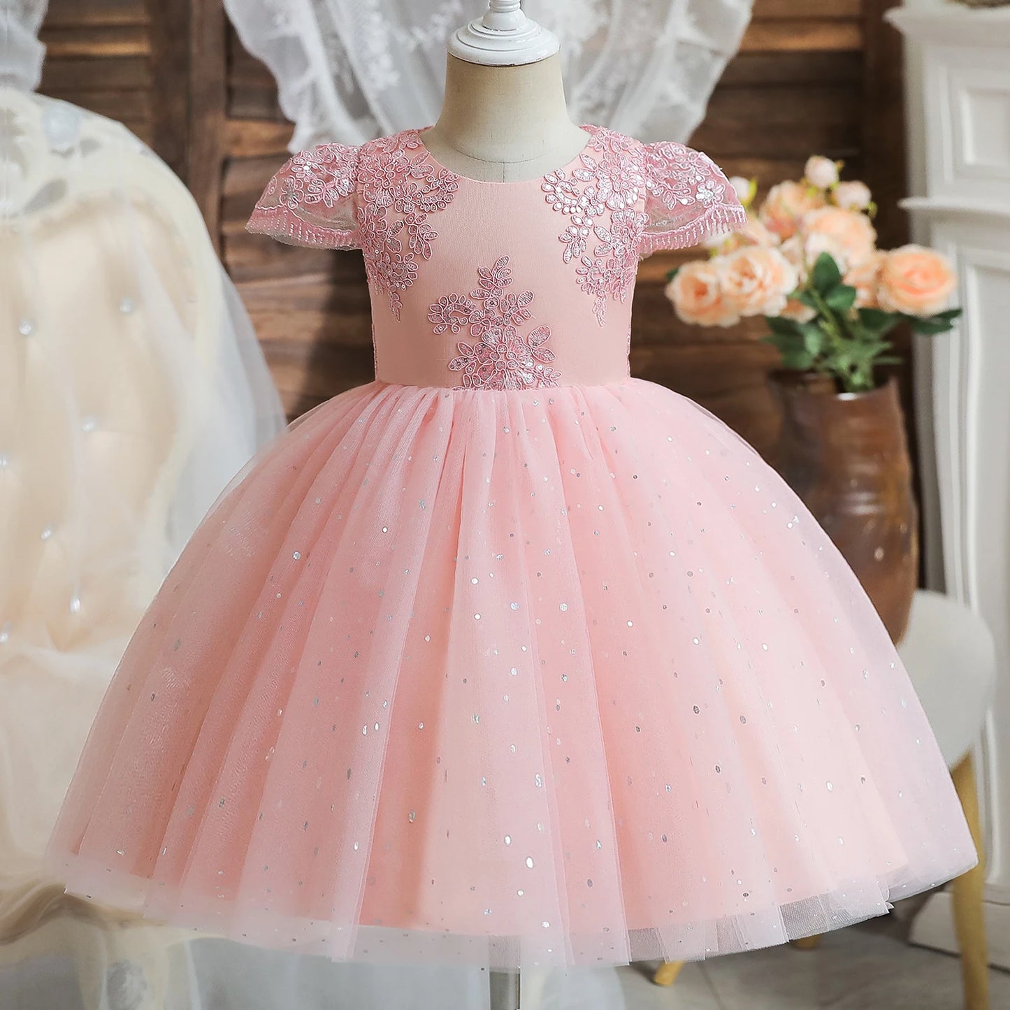 Princess Party Dress – Lace Embroidery with Ruffles