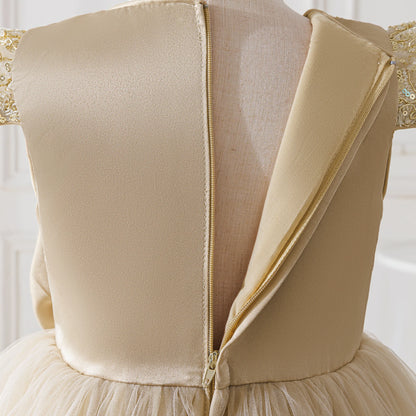 Elegant Embroidered Princess Party Dress