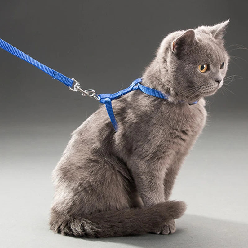 Affordable Adventure: Adjustable Harness & Leash Set for Pets