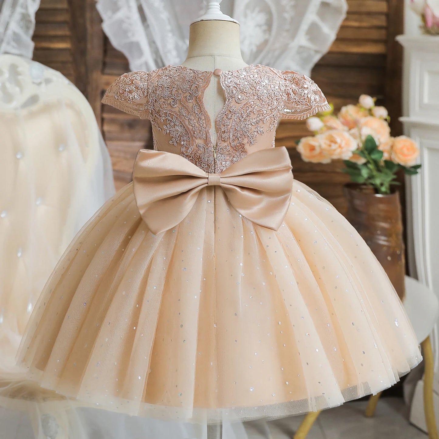 Princess Party Dress – Lace Embroidery with Ruffles