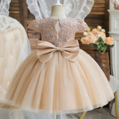 Princess Party Dress – Lace Embroidery with Ruffles