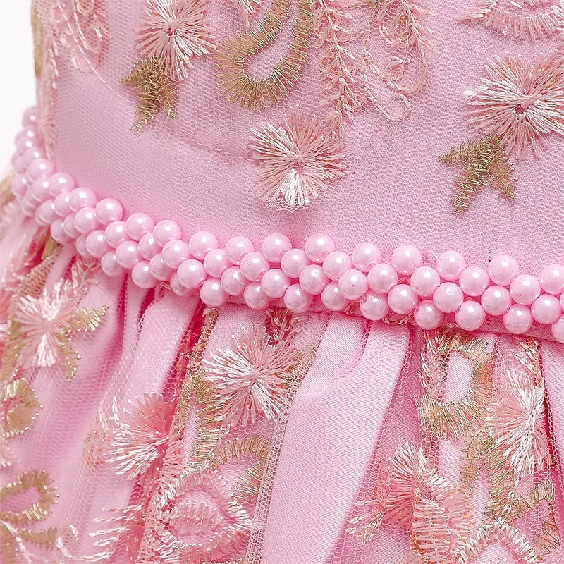 Elegant Embroidered Lace Dress for Girls