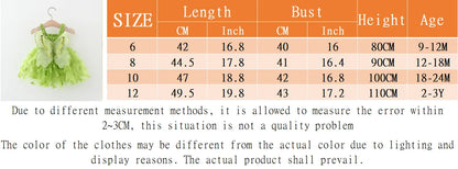 Toddler Girl Embroidered Mesh Party Outfit