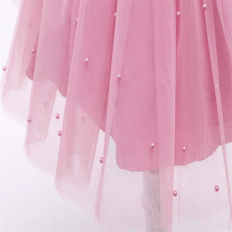 Princess Party Dress – Lace Embroidery with Ruffles