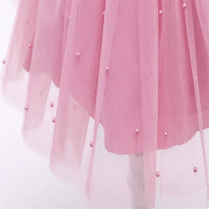 Princess Party Dress – Lace Embroidery with Ruffles