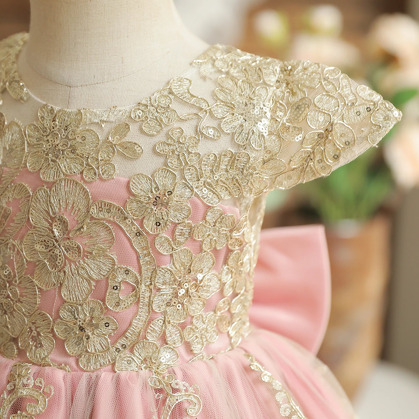 Princess Party Dress – Lace Embroidery with Ruffles