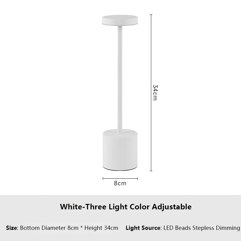 USB Rechargeable LED Table Lamp: Touch Control, 3-Color Metal Design