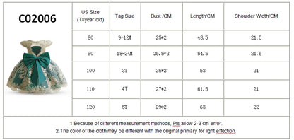 Princess Party Dress – Lace Embroidery with Ruffles