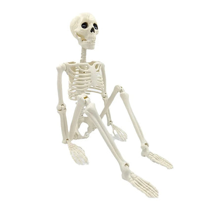 Halloween Skeleton Prop – 3ft Realistic Posable Bone Decor