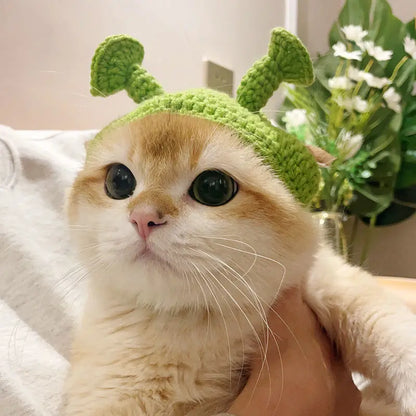 Charming Knitted Cat Hat: Perfect for Autumn, Winter, and Photo Ops