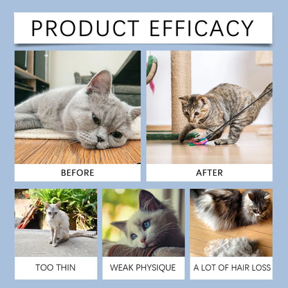 YEGBONG 50ml Cat Vitamin Supplement – Daily Nutrition & Recovery Support