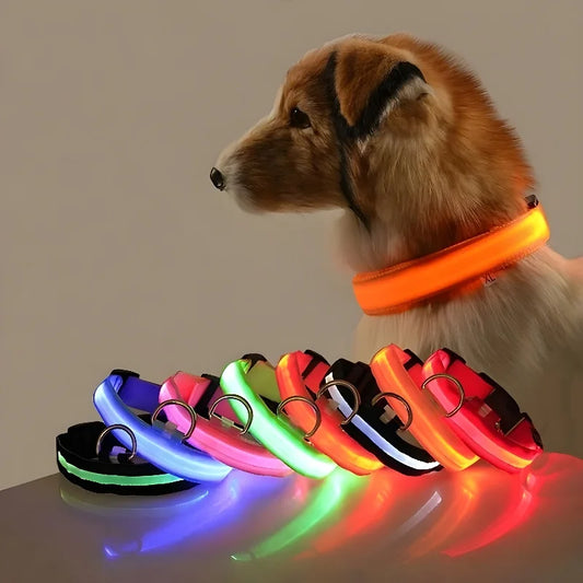 Glow in the Dark LED Dog Collar: Safety & Style for Night Walks