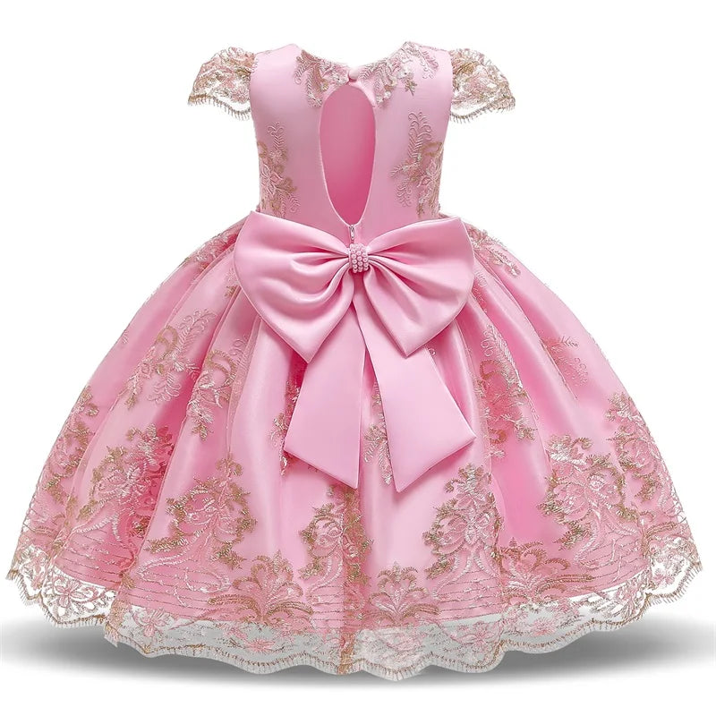 Elegant Embroidered Lace Dress for Girls