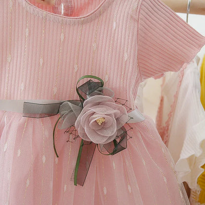 Baby Girl Birthday Party Flower Mesh Dress