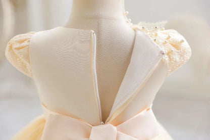 Baby Girl Birthday Dress – Princess Tulle Gown