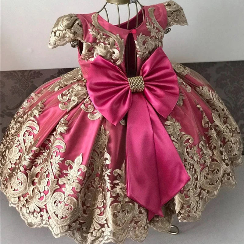 Elegant Embroidered Lace Dress for Girls