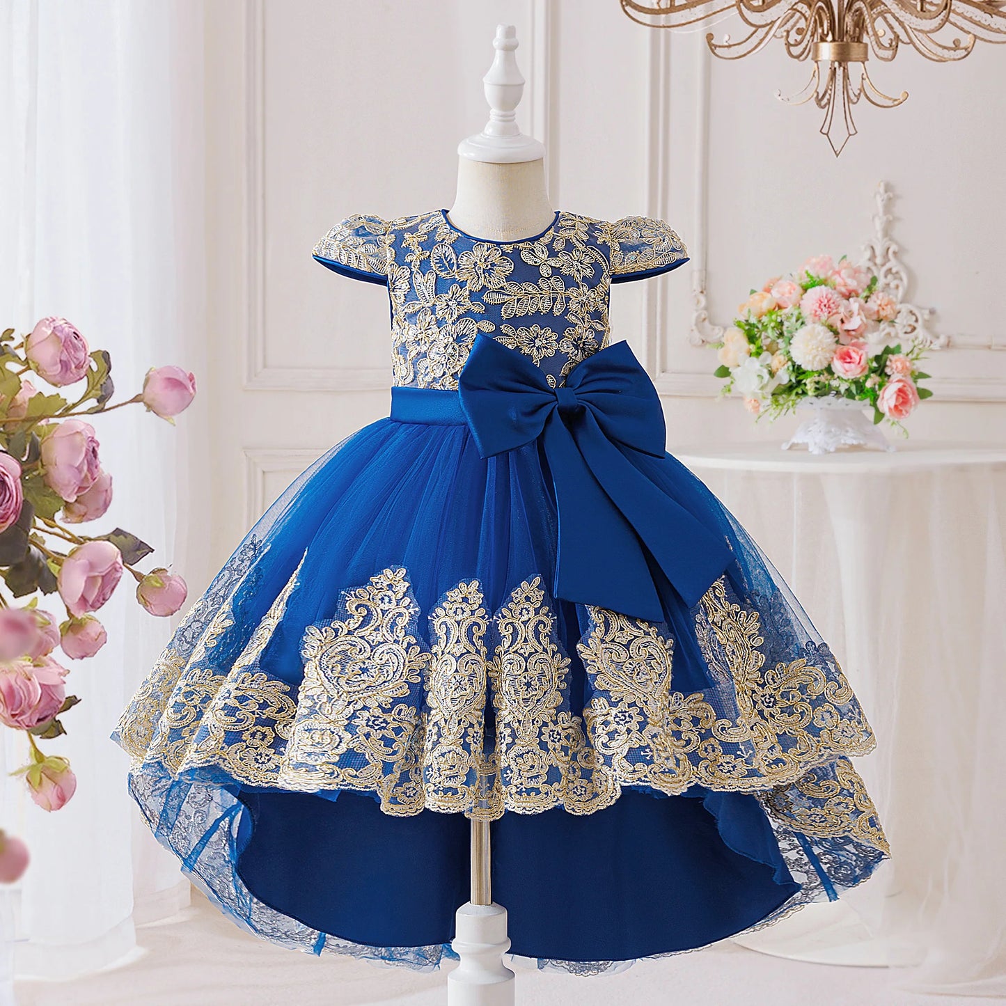 Elegant Embroidered Princess Party Dress