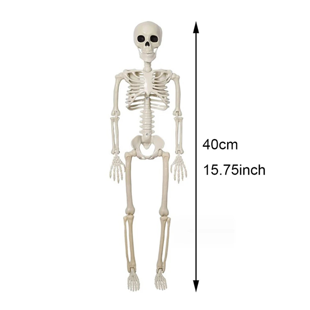 Halloween Skeleton Prop – 3ft Realistic Posable Bone Decor