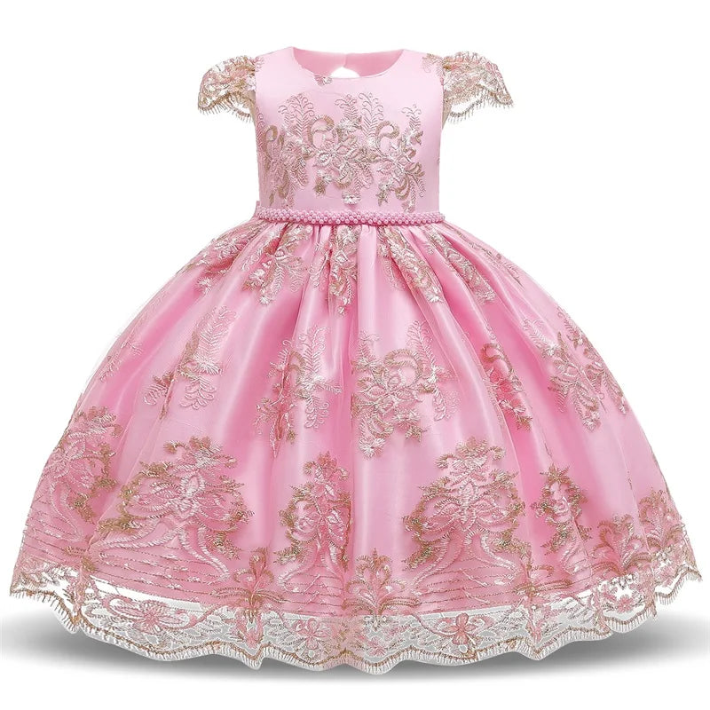 Elegant Embroidered Lace Dress for Girls