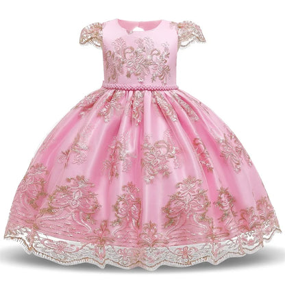 Elegant Embroidered Lace Dress for Girls