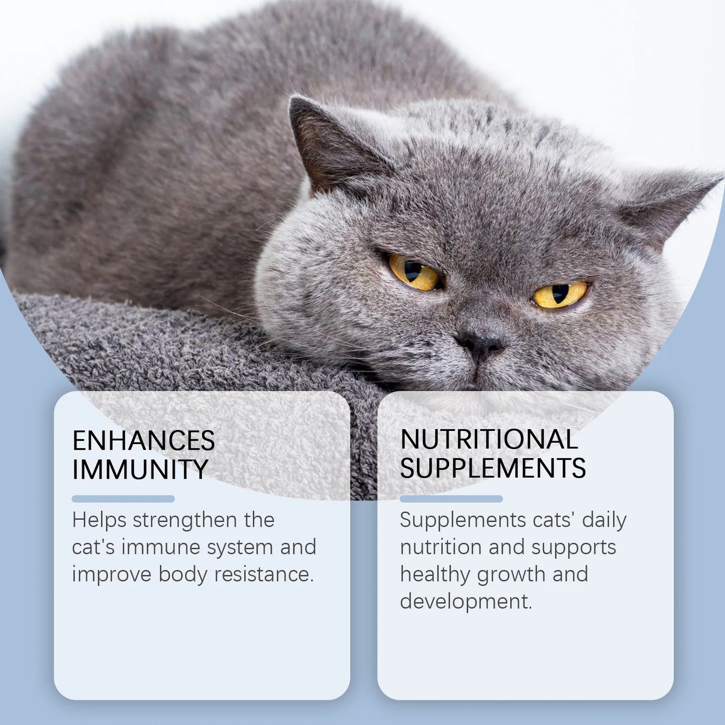 YEGBONG 50ml Cat Vitamin Supplement – Daily Nutrition & Recovery Support