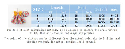 Toddler Girls’ Summer Princess 2Pcs Set