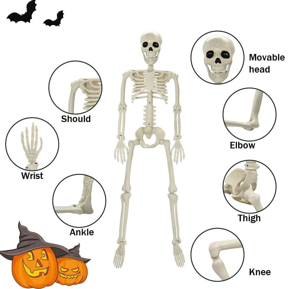 Halloween Skeleton Prop – 3ft Realistic Posable Bone Decor