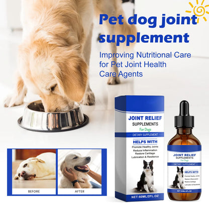Dog Joint Supplement – Relief & Nutrition for Healthy Joints